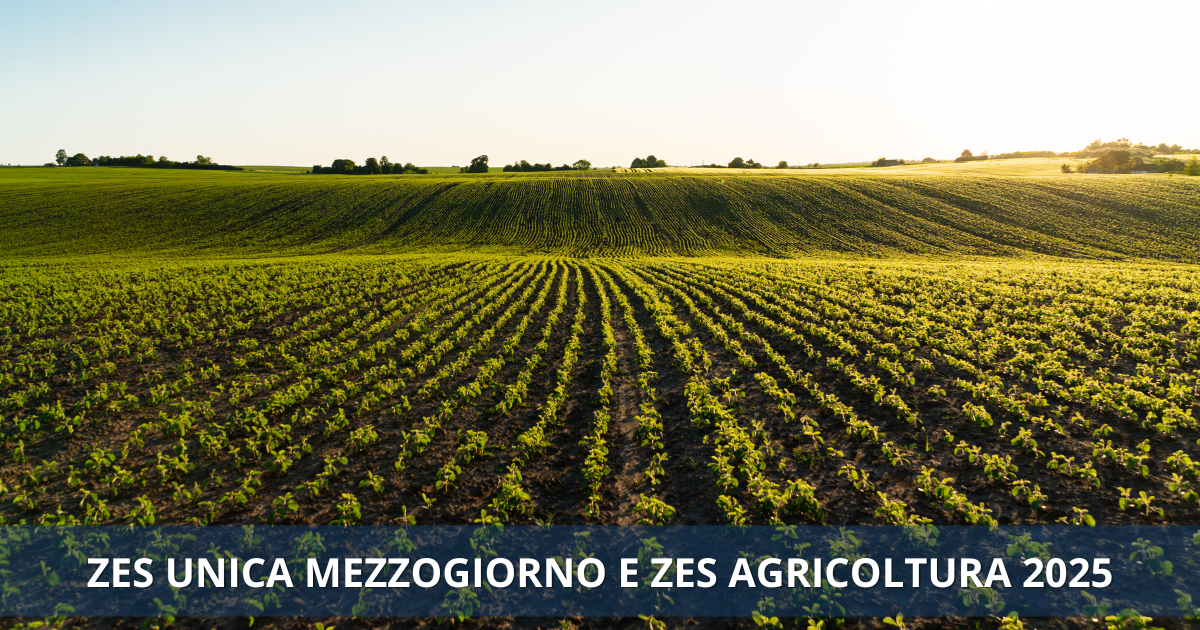 ZES UNICA MEZZOGIORNO E ZES AGRICOLTURA 2025